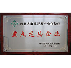 2010省農(nóng)開(kāi)辦龍頭企業(yè)
